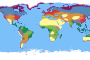 Éléments de terres rares : la nouvelle dépendance mondiale entre géopolitique, technologie et environnement