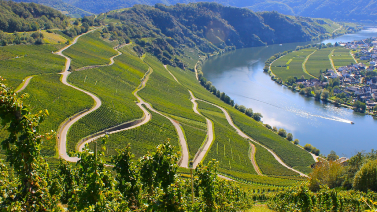 La Moselle à vélo : un itinéraire lent à travers le Riesling, les villages et les vignobles