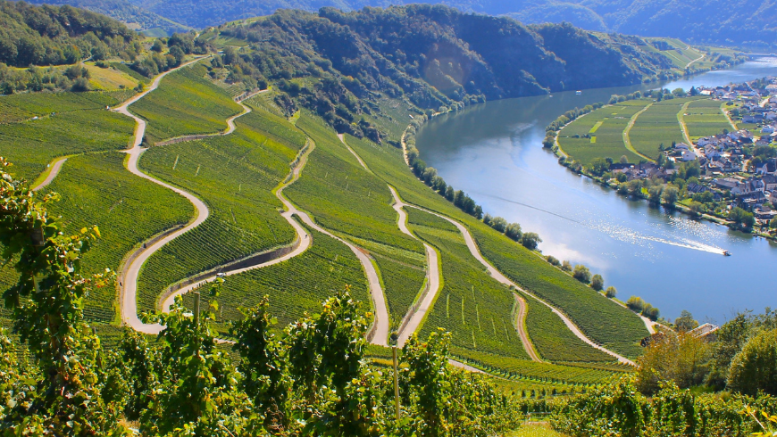 Paysage de la vallée de la Moselle
