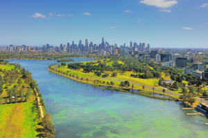 Melbourne pour les voyageurs verts : parcs, marchés et escapades dans la nature