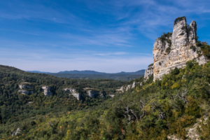 Parc Naturel d'Izki : Un guide pour découvrir la nature sauvage du Pays Basque