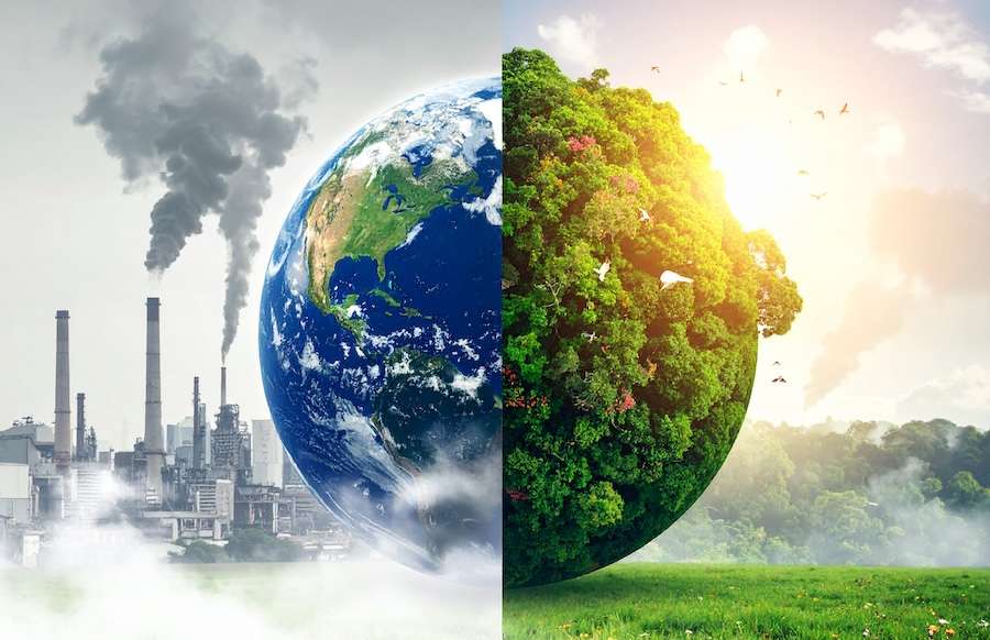 Why Carbon Emissions and Biodiversity Can’t Stay in Separate Silos