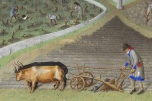 Sécheresse, pénurie d'eau et mauvaises récoltes : comment se compare la période chaude médiévale avec celle d'aujourd'hui ?