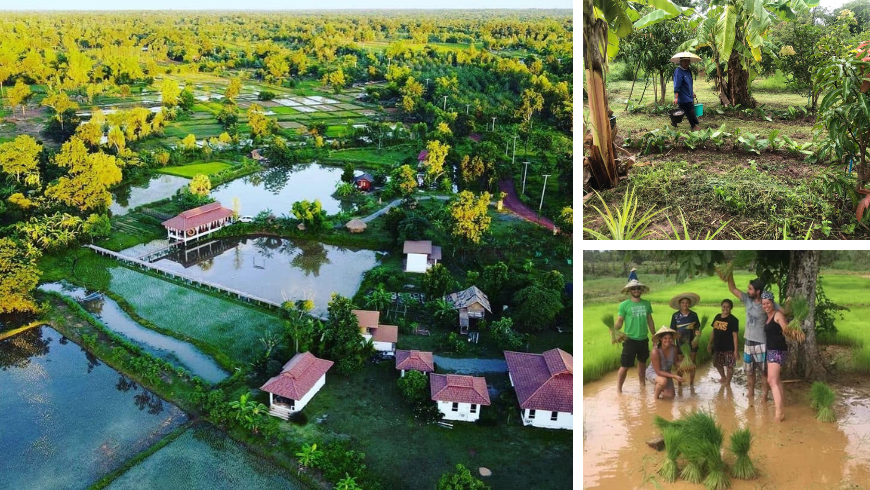 Ferme biologique Suwan Farmstay à Nong Khai, nord-est de la Thaïlande