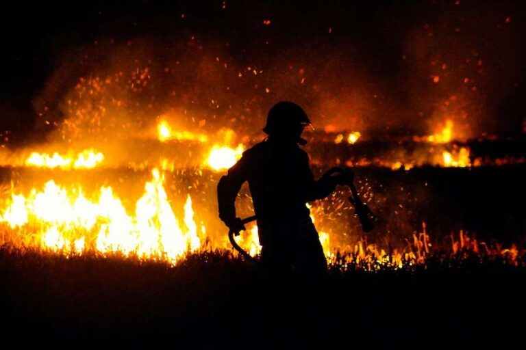 Plus de 75 % des zones humides du Royaume-Uni ont été détruites – leur restauration contribuerait à prévenir les incendies de forêt