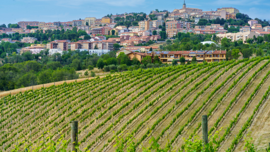 Vue de Camerano, région des Marches, Italie
