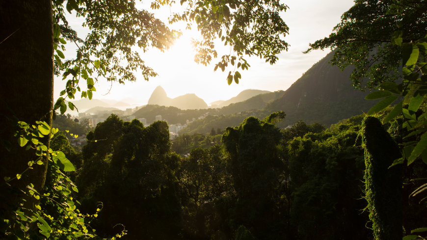Parc national de Tijuca, à proximité de la ville