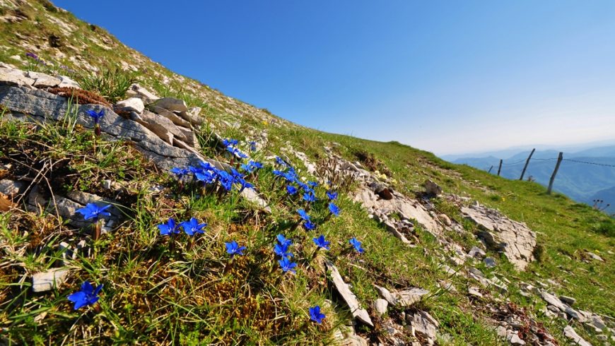 Un week-end à la découverte du Monte Catria : fromage, bière et randonnée entre nature et communautés