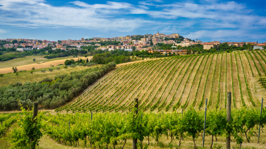 Vue de Camerano, Italie
