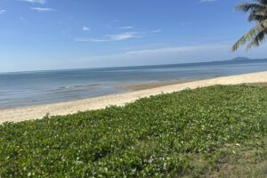 Ban Krut : un lent voyage en train le long de la paisible côte thaïlandaise du golfe