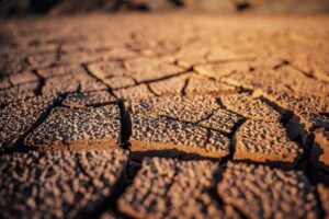 El Niño devrait devenir très fort, augmentant les risques de conditions météorologiques extrêmes jusqu'en 2027