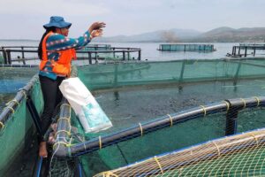 Ethical Seafood Research et Rio Fish annoncent un partenariat pour faire progresser le bien-être des poissons au Kenya