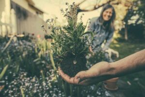 Il y a quelque chose que vous pouvez faire dès maintenant pour rafraîchir votre maison l'été prochain – et c'est beaucoup moins cher que la climatisation.