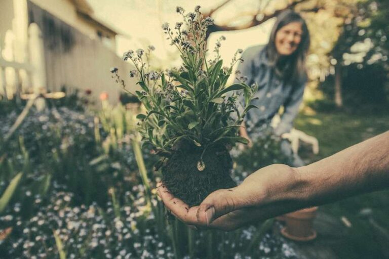 Il y a quelque chose que vous pouvez faire dès maintenant pour rafraîchir votre maison l'été prochain – et c'est beaucoup moins cher que la climatisation.