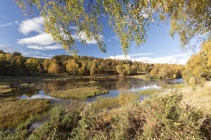 Le public soutient la restauration de la nature pour protéger la Grande-Bretagne des conditions météorologiques extrêmes, révèle un nouveau sondage