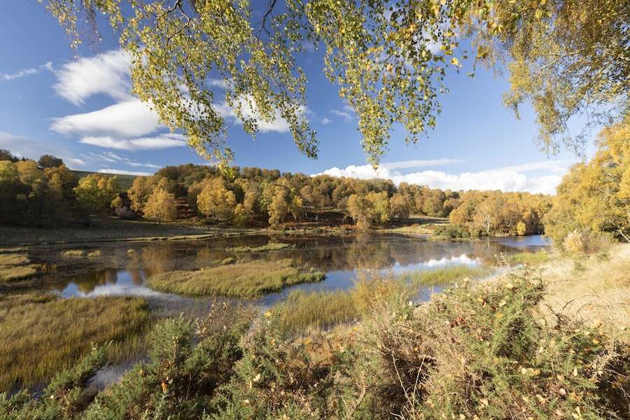 Public backs nature restoration to protect Britain from extreme weather, new polling reveals