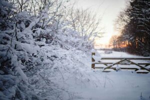 Pourquoi les vagues de froid hivernal deviennent plus douces