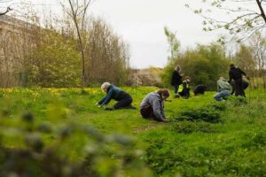 Projet visant à créer des espaces sauvages pour les papillons et les mites à Leeds