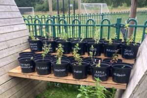 Un universitaire de Chester et expert primé de la menthe développe l'initiative des écoles sur la biodiversité