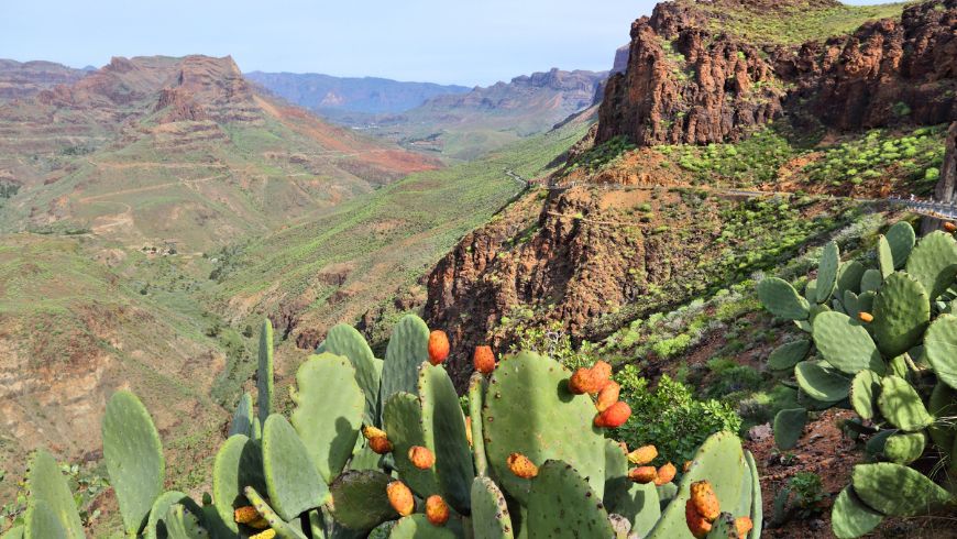 Paysage naturel de Faga Goge avec cactus au premier plan et montagnes en arrière-plan
