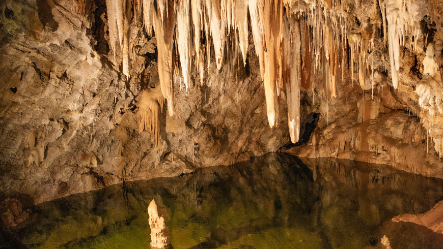 Découvrez l'oasis des grottes de Bussento du WWF en Campanie