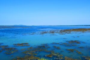 5 oasis du WWF en Italie à visiter et découvrir la nature