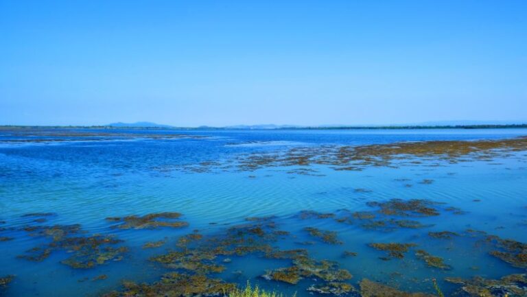 5 oasis du WWF en Italie à visiter et découvrir la nature