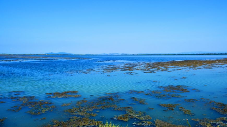 Oasis naturelle d'Orbetello en Toscane