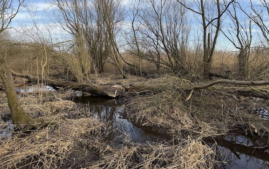 Every £1 invested in restoring rivers could generate over £7 in benefits for nature, communities and the economy