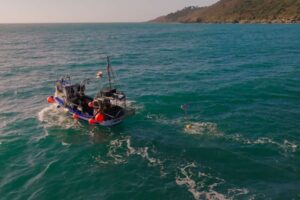 Des scientifiques développent un « épouvantail flottant » pour protéger les oiseaux marins menacés