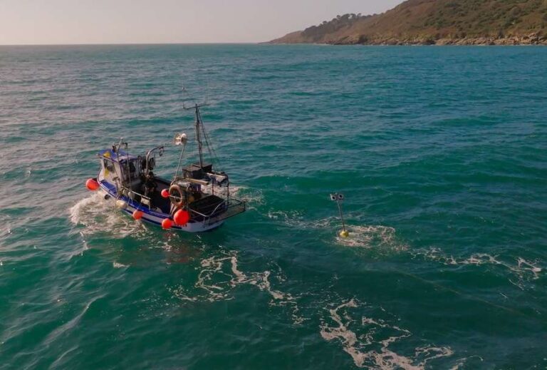 Des scientifiques développent un « épouvantail flottant » pour protéger les oiseaux marins menacés