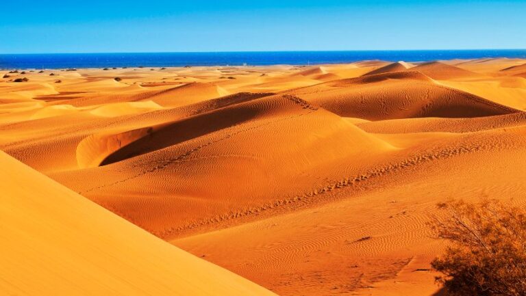 Gran Canaria entre mer et nature : comment découvrir l'île à un rythme plus conscient
