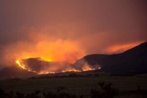 La Grande-Bretagne doit « se resauvager pour se remettre » d’une future menace d’incendies de forêt