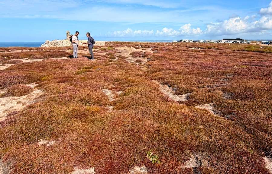 Ecological restoration community calls on European Commission to treat nature as an investment in resilience