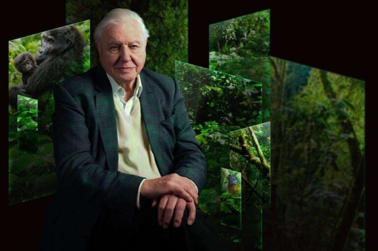Le zoo de Chester présentera pour la première fois Our Story de Sir David Attenborough dans le nord de l'Angleterre