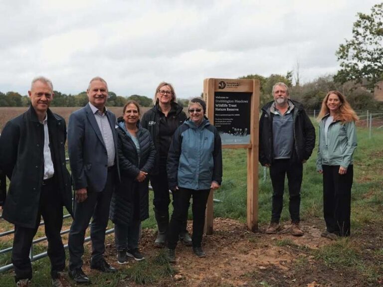 Stubbington Meadows ouvre un nouvel espace pour les gens et la nature
