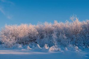 Un phénomène El Niño record est encore en cours, entraînant probablement un hiver froid au Royaume-Uni.