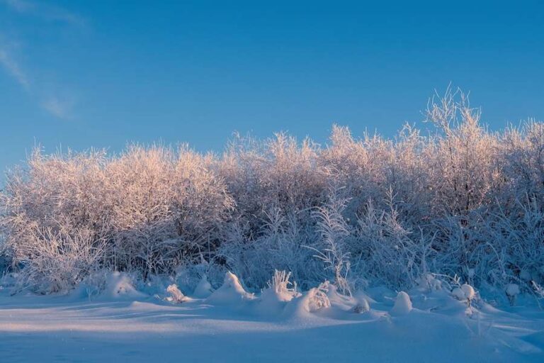 Un phénomène El Niño record est encore en cours, entraînant probablement un hiver froid au Royaume-Uni.